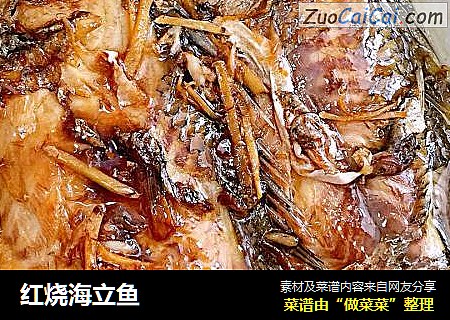 红烧海立鱼