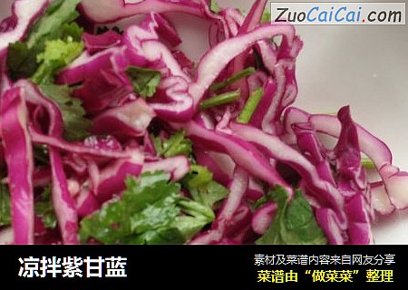 凉拌紫甘蓝
