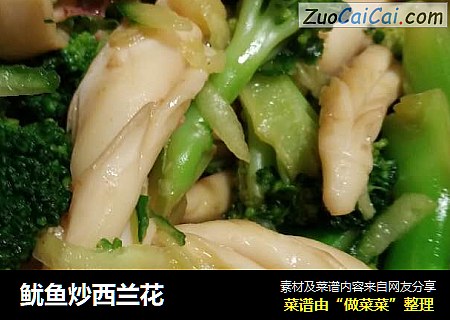 鱿鱼炒西兰花