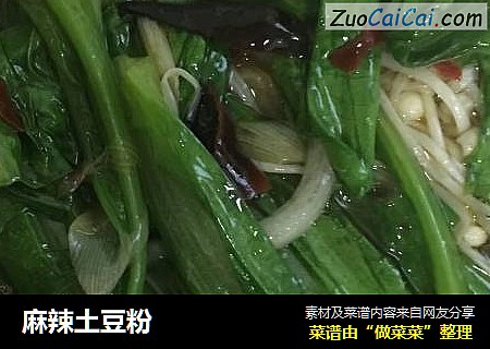 麻辣土豆粉
