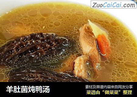 羊肚菌炖鸭汤