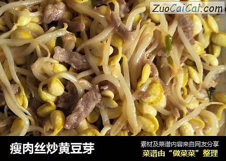 瘦肉丝炒黄豆芽