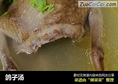 鸽子汤