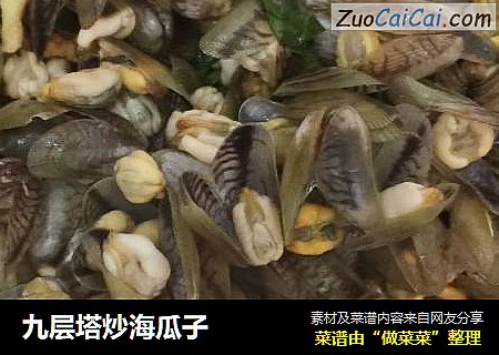 九层塔炒海瓜子