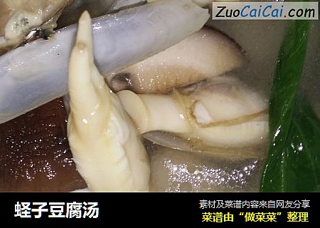 蛏子豆腐汤