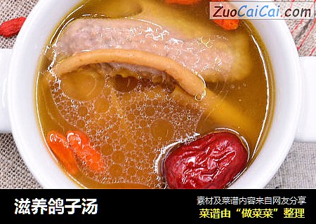 滋养鸽子汤