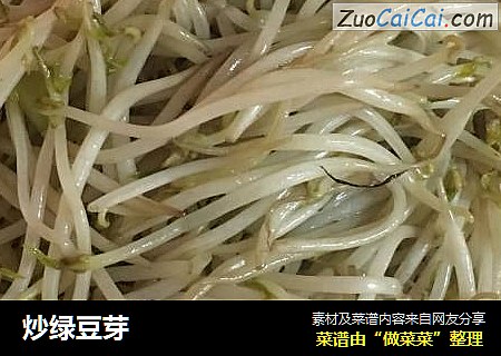 炒绿豆芽