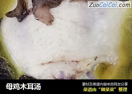 母鸡木耳汤