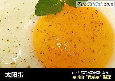 太阳蛋