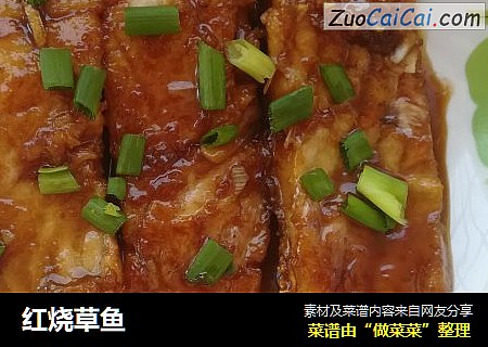 红烧草鱼