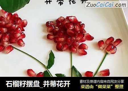 石榴籽摆盘_并蒂花开
