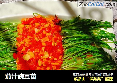 茄汁豌豆苗