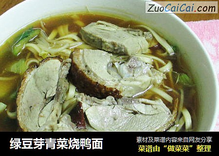 绿豆芽青菜烧鸭面