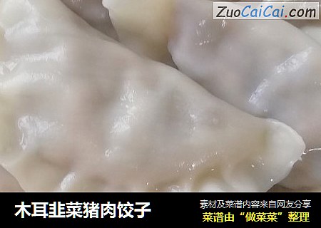 木耳韭菜猪肉饺子
