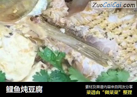 鲤鱼炖豆腐