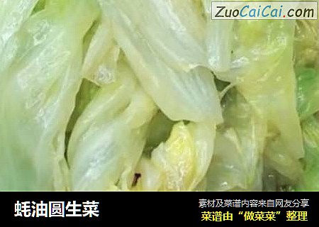 蚝油圆生菜