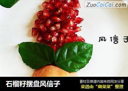 石榴籽摆盘风信子