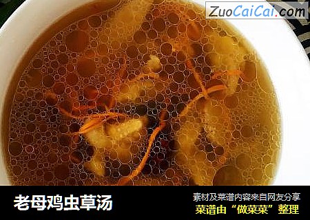 老母鸡虫草汤
