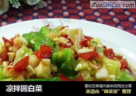 凉拌圆白菜