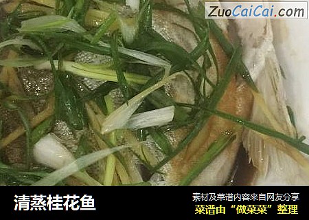 清蒸桂花鱼