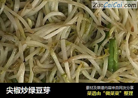 尖椒炒绿豆芽
