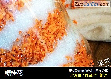 糖桂花
