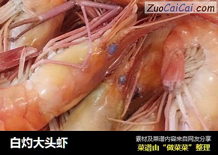 白灼大头虾