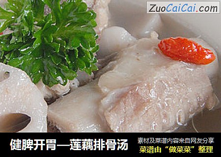健脾开胃—莲藕排骨汤