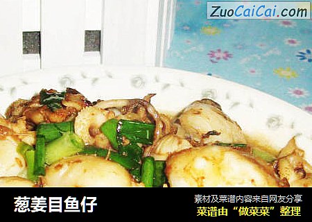 葱姜目鱼仔