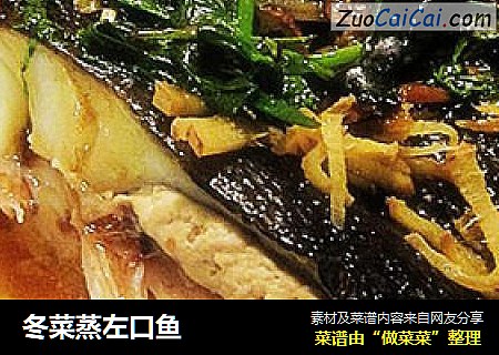 冬菜蒸左口鱼