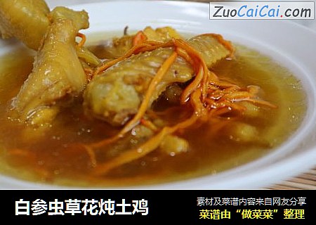 白参虫草花炖土鸡