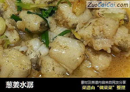 葱姜水潺