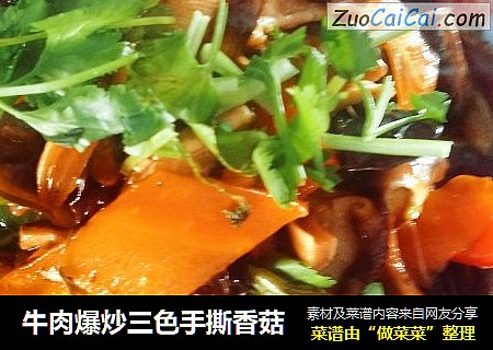 牛肉爆炒三色手撕香菇