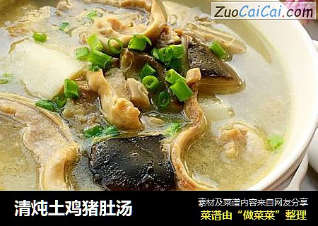清炖土鸡猪肚汤