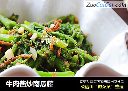 牛肉酱炒南瓜藤