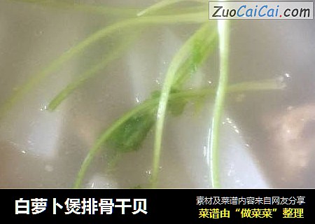白萝卜煲排骨干贝