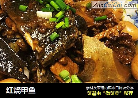 红烧甲鱼