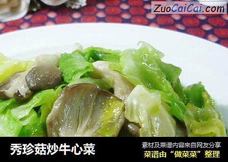 秀珍菇炒牛心菜