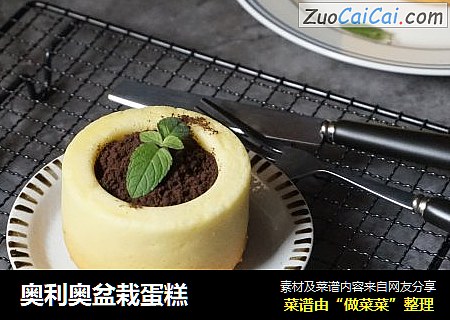奥利奥盆栽蛋糕