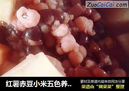 红薯赤豆小米五色养生粥