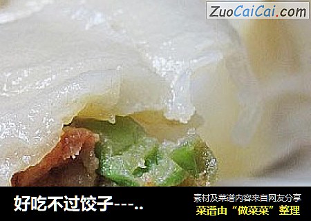 好吃不过饺子---茄子猪肉水饺