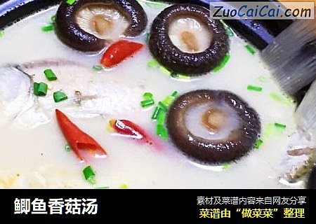 鲫鱼香菇汤