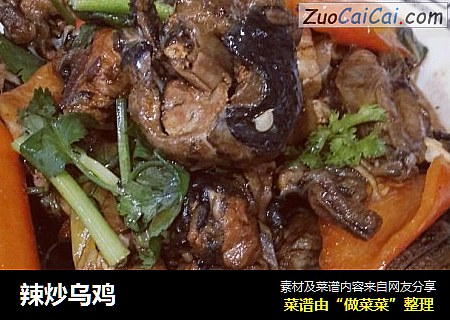 辣炒乌鸡