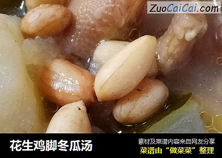 花生鸡脚冬瓜汤