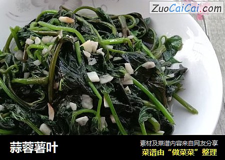 蒜蓉薯叶