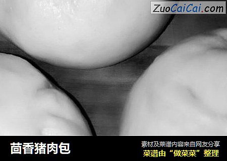茴香猪肉包