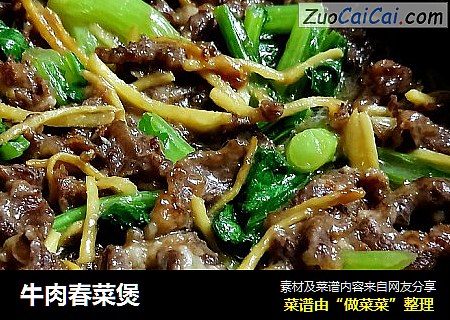 牛肉春菜煲