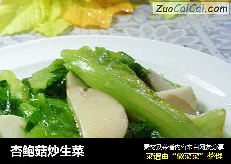 杏鲍菇炒生菜