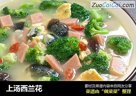 上汤西兰花