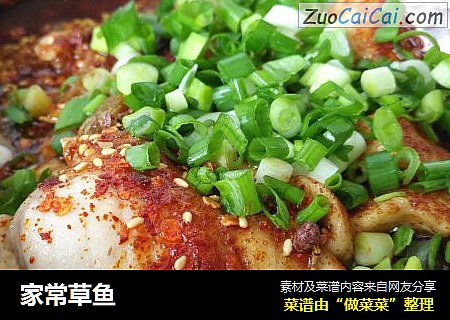 家常草鱼